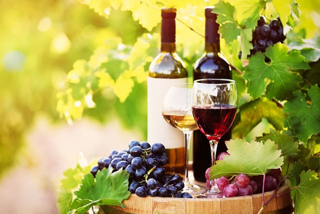 Wine tasting – Away Days